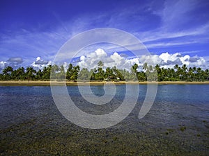 Taipu de Fora beach, Bahia photo