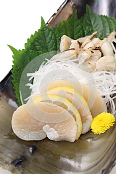 Tairagi(pacific pen shell, atrina pectinata) sashimi, japanese cuisine