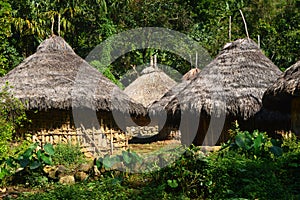 Tairona huts on the trail to the Lost City