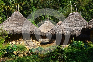 Tairona huts on the trail to the Lost City photo