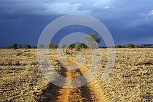 Taita Hills Dirt Road