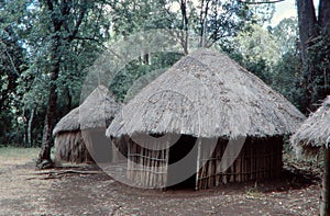 Taita hut homestead, Bomas, Nairobi, Kenya