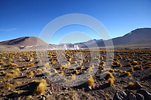 Taito Geysers in Atacama desert photo