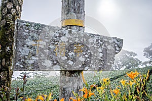 Taitung, Taiwan August 13, 2018:the daylily hillside landmark