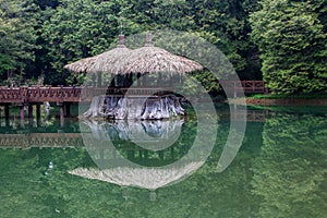 Taiwan Alishan Mountain scenery