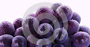 Taiwan, fruit, Kyoho grapes, purple grapes, grapes