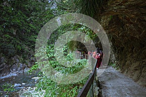 Taiwan, Hualien, Taroko, Scenic Area, Sand Card Walk, Forest Trail