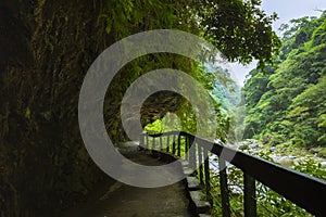 Taiwan, Hualien, Taroko, Scenic Area, Sand Card Walk, Forest Trail