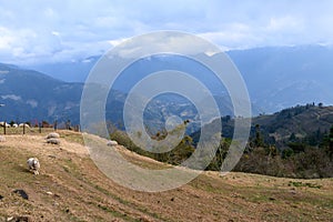 Taiwan mountain scenery