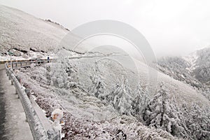 In Taiwan Nantou Hehuan Mountain Snow