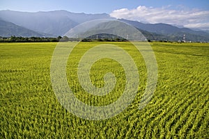 Taiwan rural scenery