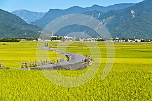 Taiwan rural scenery