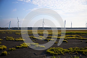 Taiwan, Taichung, West Coast, attractions, Gaomei wetlands, parks, windmills