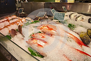 Taiwan Taipei, sightseeing fish market, on the aquatic products, tourist attractions, seafood stores, aquatic restaurants, fresh s