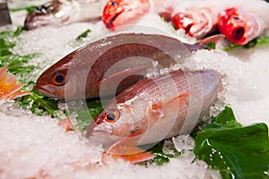 Taiwan Taipei, sightseeing fish market, on the aquatic products, tourist attractions, seafood stores, aquatic restaurants, fresh s