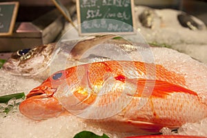 Taiwan Taipei, sightseeing fish market, on the aquatic products, tourist attractions, seafood stores, aquatic restaurants, fresh s