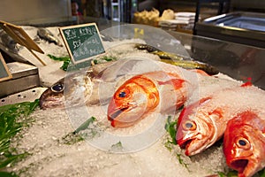 Taiwan Taipei, sightseeing fish market, on the aquatic products, tourist attractions, seafood stores, aquatic restaurants, fresh s