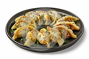 Taiwanese and Japanese Pan-fried gyoza dumpling jiaozi food