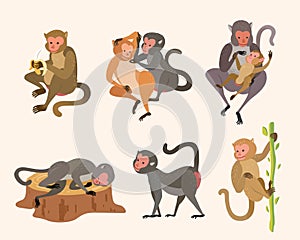 Taiwanese macaque monkey set