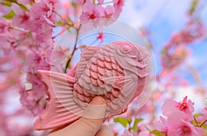 Taiyaki Pink Fish Sweet Dessert