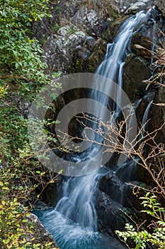 Taizhou autumn scenery