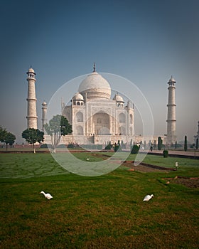 Taj Mahal with birds