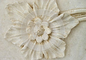 Taj Mahal, detail of marble wall. Beautiful marble flower