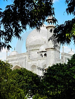Taj Mahal framed in trees