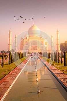 Taj Mahal , morning golden light photo