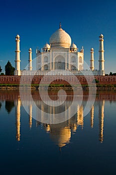 Taj Mahal reflected in river photo