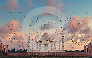 Taj Mahal scenic sunset view with pink sky and birds flying, in Agra, India.