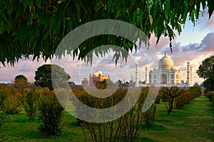 Taj Mahal scenic sunset view with pink sky from Mehtab Bagh gardens, in Agra, India.