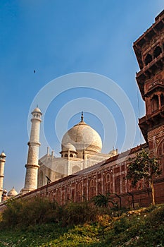 Taj Mahal in sun light. Early in the morning, back view behind the fence, from outside, river side. One of the most