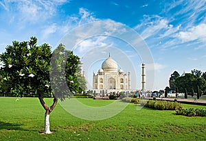 Taj Mahal in sunrise light, Agra