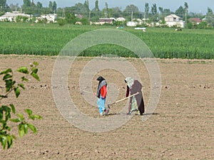 Tajik farmers working in the fields