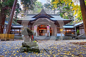 Takachiho Shrine founded over 1,900 year, Ninigi no Mikoto, the grandchild of Amaterasu Omikami. It