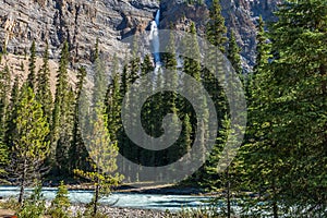 Takakkaw Falls and Yoho River in a sunny summer day. Yoho National Park, Canadian Rockies.