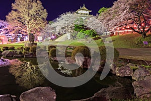 Takashima Castle photo