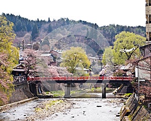 TAKAYAMA AT RED BRIDGE ON FESTIVAL TIME