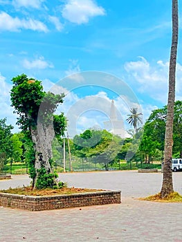 Take a closer look at the Sandhahiru Saya Stupa in Anuradhapura from afar.