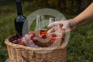 Take glass of wine. Two glass of tasty dry rose wine from ripe grapes with a bottle of wine on a wicker basket in the