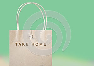 Take Home Paper Bag on Pastel Green Background