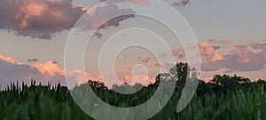 Take me back to this place In my mind, where you still exsisted