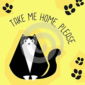 Take me home, please pet adoption service banner