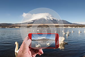 take photo Mount Fuji reflected in Lake Yamanaka at dawn