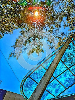 take shelter under shady and cool trees