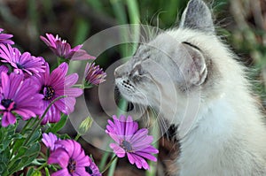 Take time to smell the flowers