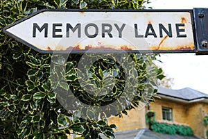 Take a trip down memory lane signpost with holly background