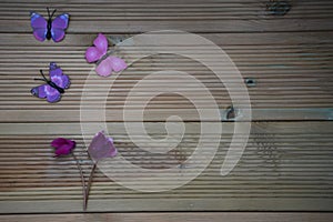 Winter photography image of pink purple cyclamen flowers and fun toy butterflies on rustic wood background and space