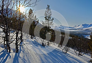 Taken during a hike through the Sognefjell photo